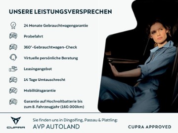 Gebrauchte Cupra Tavascan