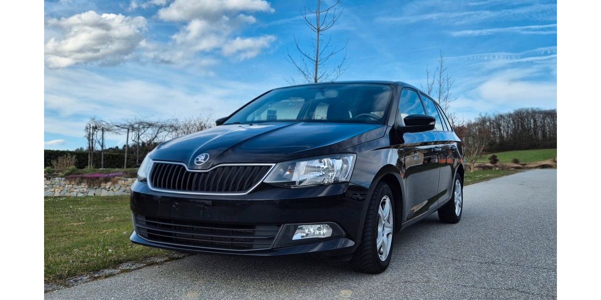 Skoda Fabia 129.500 km 7.690 &euro; Hofkirchen 94544