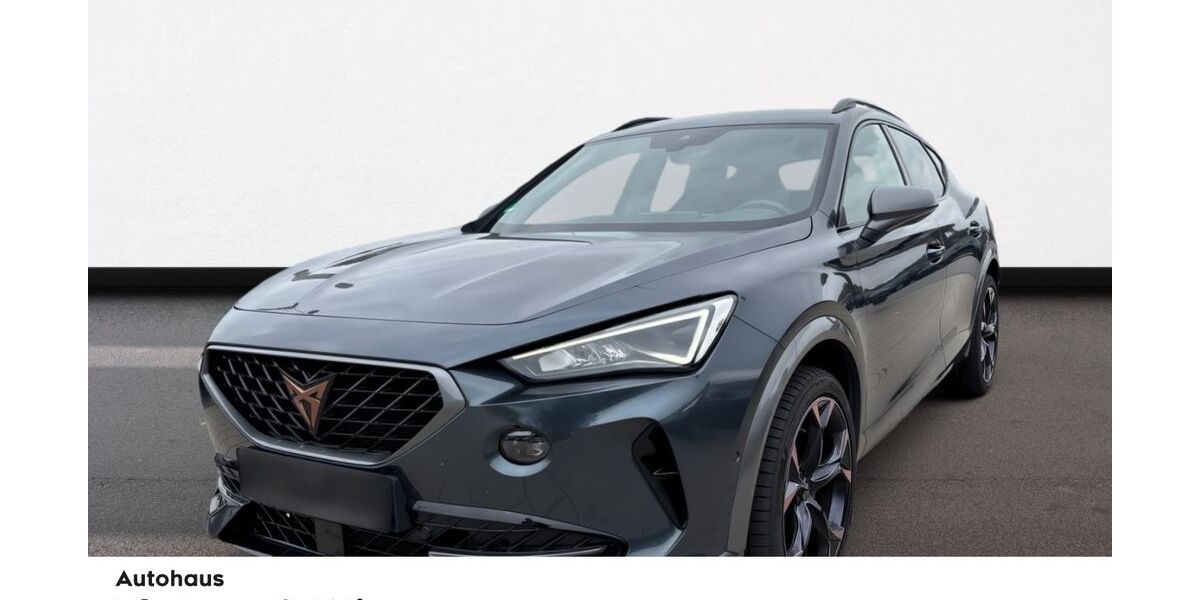 Cupra Formentor 70.415 km 29.990 &euro; Hutthurm 94116