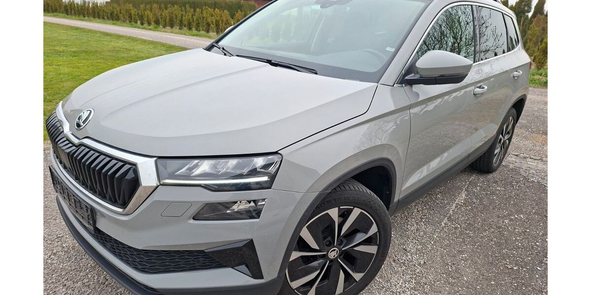 Skoda Karoq 189.000 km 19.635 &euro; Büchlberg 94124