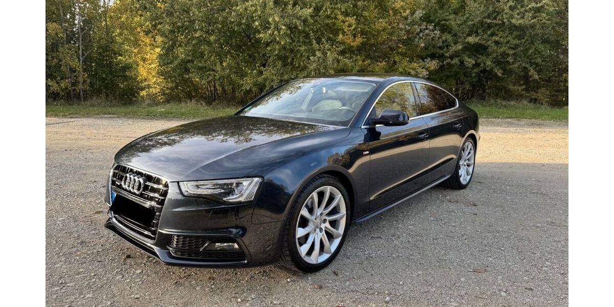 Audi A5 162.000 km 13.900 &euro; Aldersbach 94501