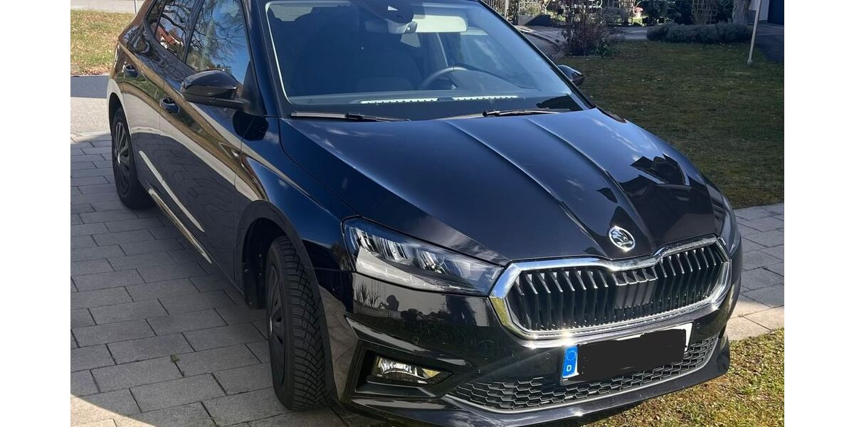 Skoda Fabia 8.010 km 20.500 &euro; Waldkirchen 94065