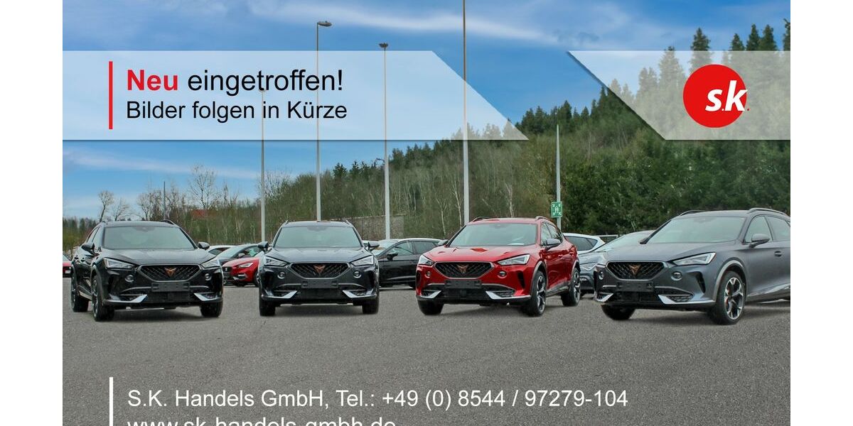 Seat Ibiza 210.000 km 3.900 &euro; Aicha 94529